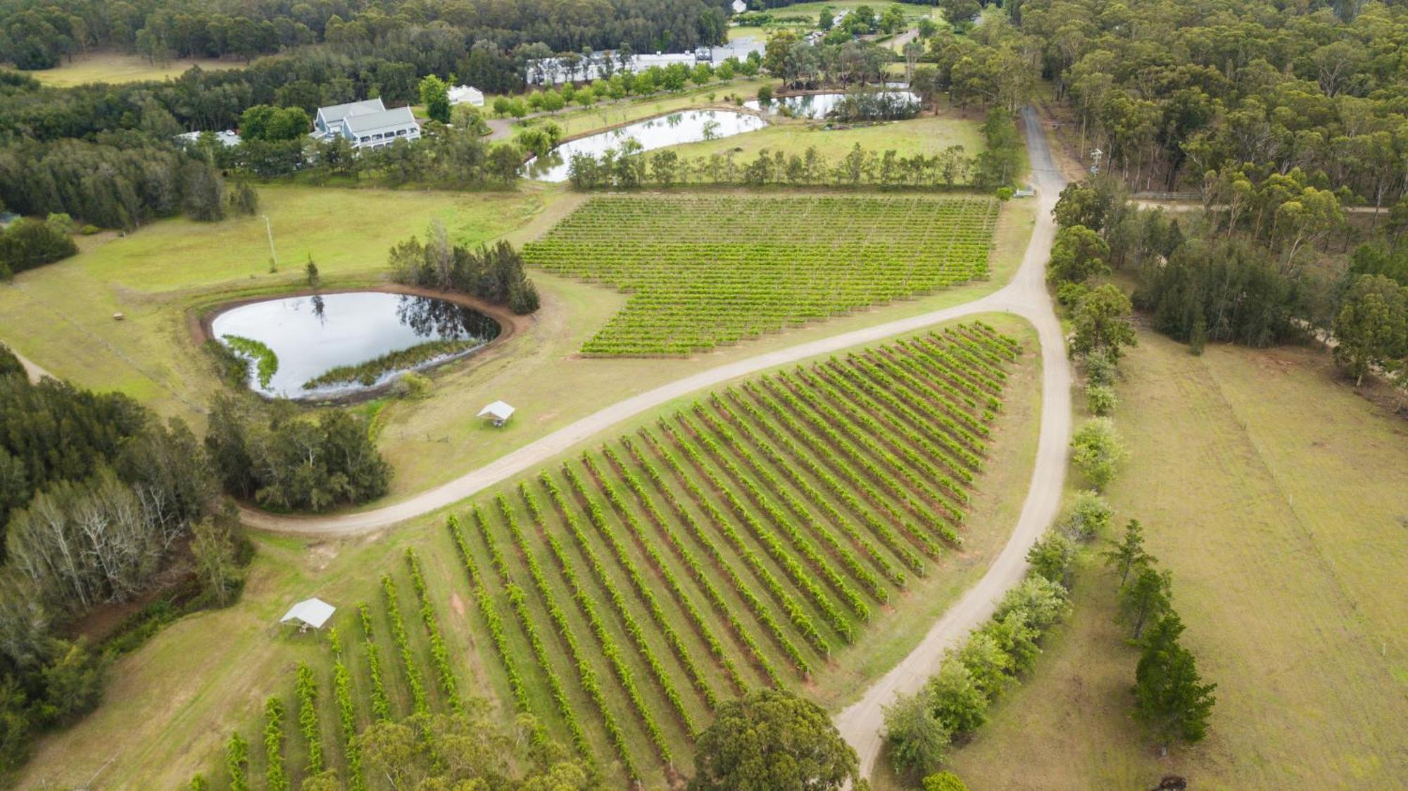 The Carriages Boutique Hotel And Vineyard Поколбин Екстериор снимка